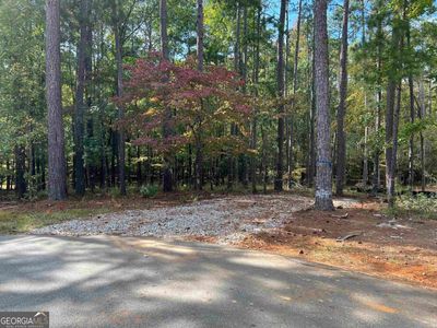 1041 Yazoo Fishery, Greensboro, GA, 30642