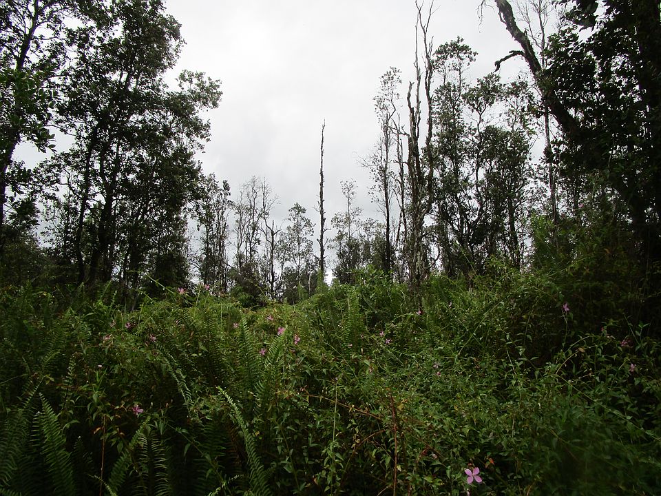 2nd image of Kauai Rd Lot 1116