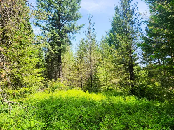 4711 Springdale Hunters Rd #X, Springdale, WA 99173