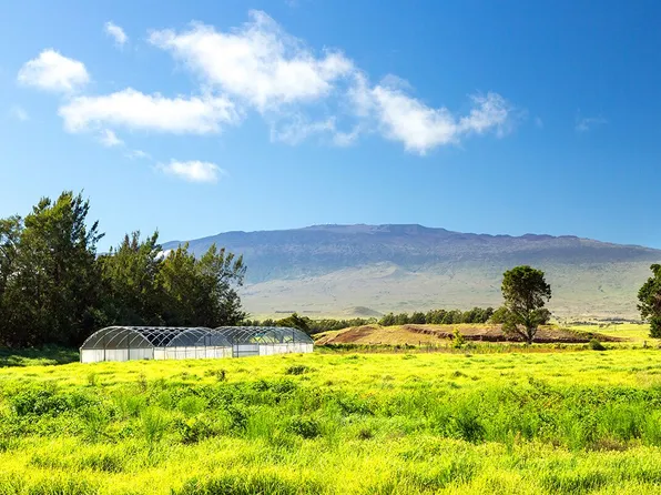 Mana Rd Lot B, Kamuela, HI 96743