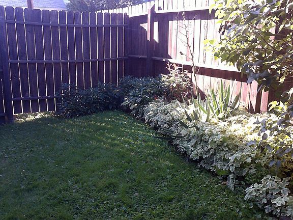 Yard