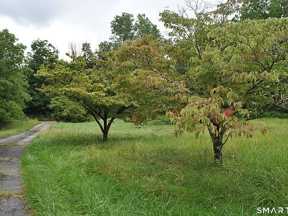 4th image of 33 Chestnut Land Road