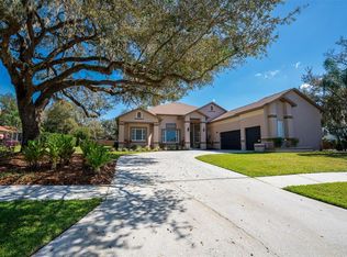 1018 Emerald Creek Dr, Valrico, FL 33596