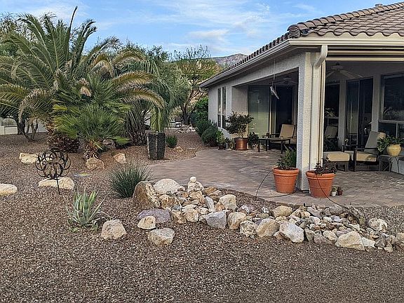 Rear patio and palms.