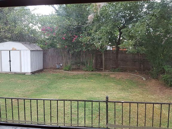 Back yard