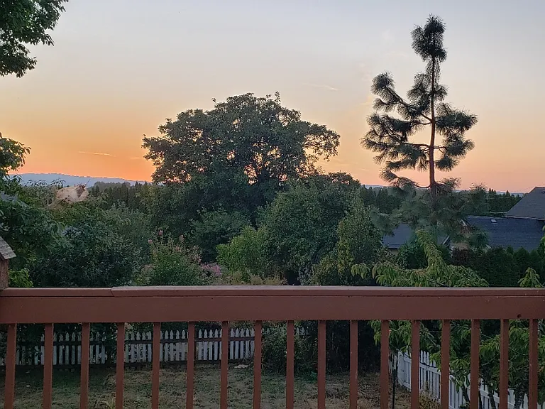 View from Deck