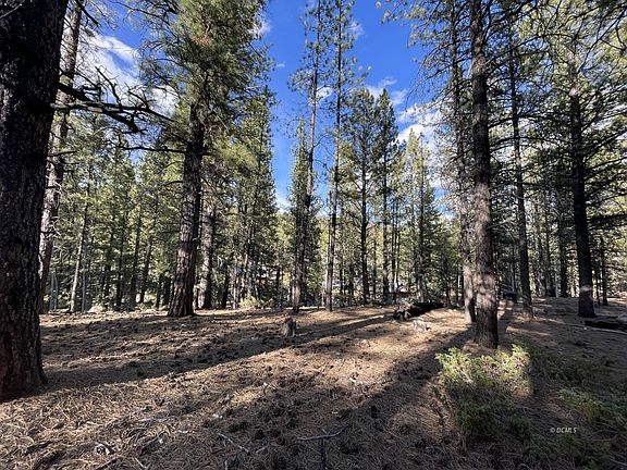 3rd image of 90 W Mammoth View Dr