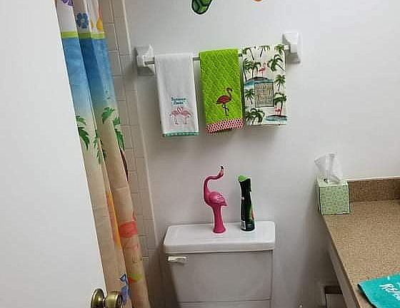 2nd bath with shower unit