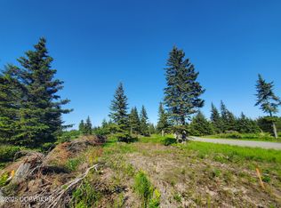 17573 Chefornak St, Ninilchik, AK 99639