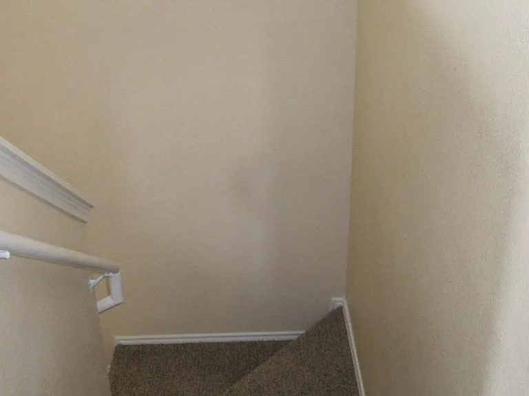 29704 Sullivan Oaks Dr — Photo 12