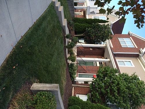 1st image of 3648 Lilac Ln APT 3