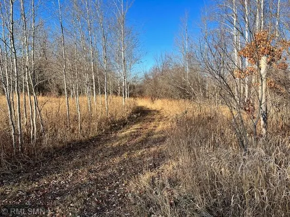95th Ave NE, Foley, MN 56329
