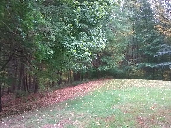 backyard no rear neighbors