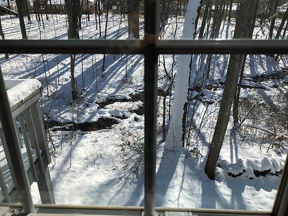 View out of Family Room, small stream