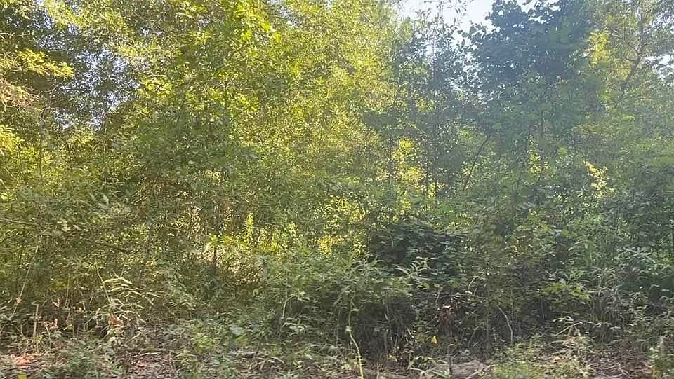 2nd image of 0 Niagara Rd