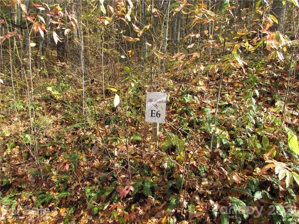 E Six Red Wolf Run None, Mars Hill, NC 28754