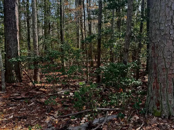 Lake Dr, Colonial Beach, VA 22443