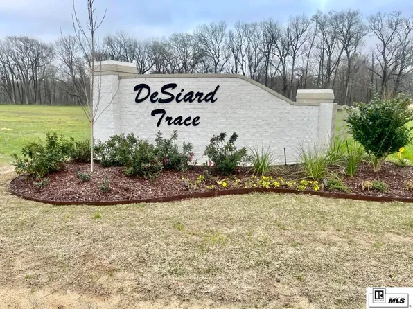 9073 Desiard Trce, Sterlington, LA 71280