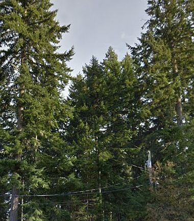 4th image of 19620 21st Street Ct SW