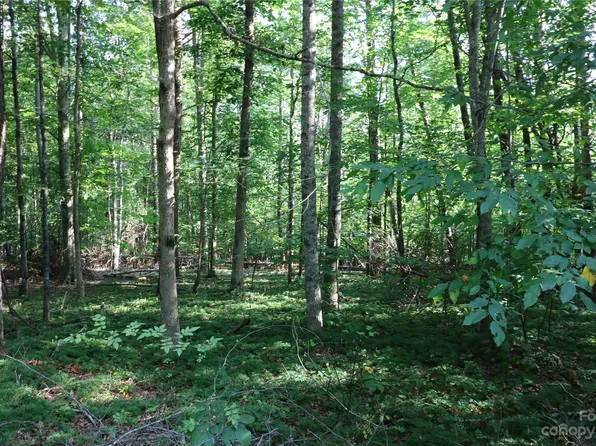 0 Amber Oaks Dr, Rutherfordton, NC 28139