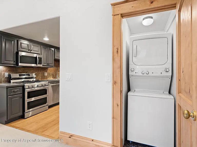 33 Pitkin Mesa Dr #37 — Photo 7