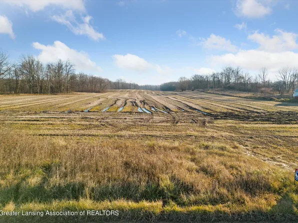 0 S Clintonia Rd, Portland, MI 48875