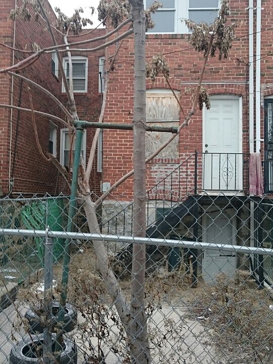 2nd image of 2631 Grogan Ave