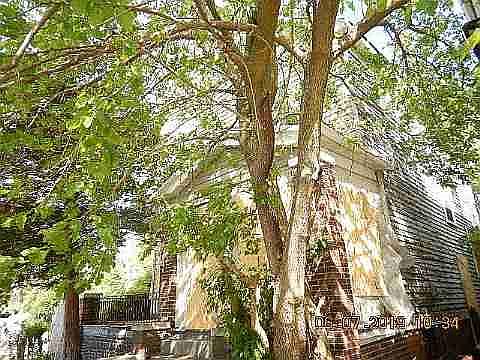 3309 E Forest