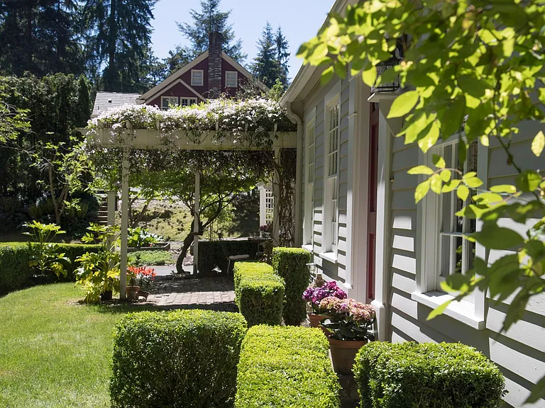 Front yard and patio