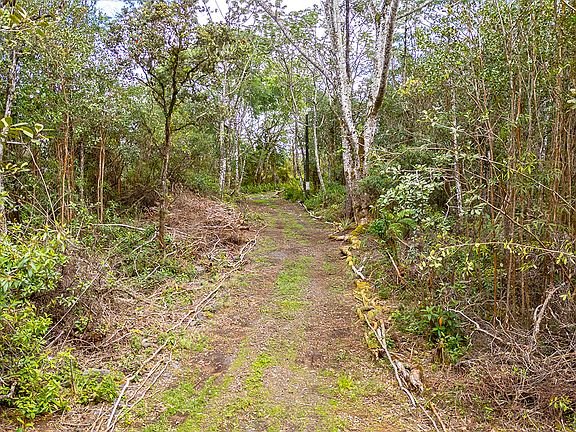 5th image of 16-331 Kiele St Lot 15