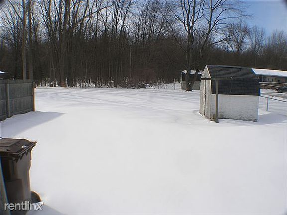 Large Backyard w/ Shed