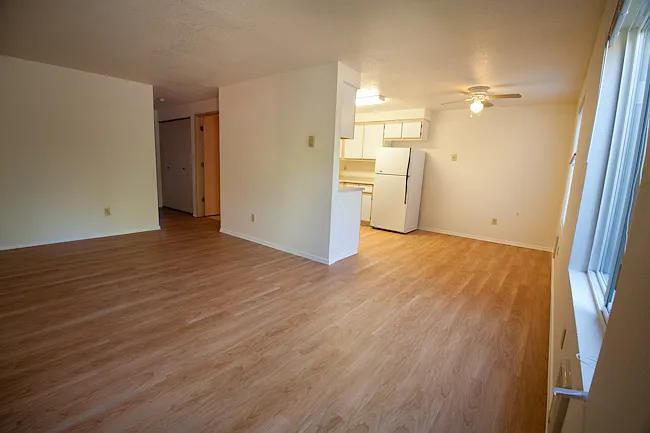 Spring Pines Apartments — Photo 4