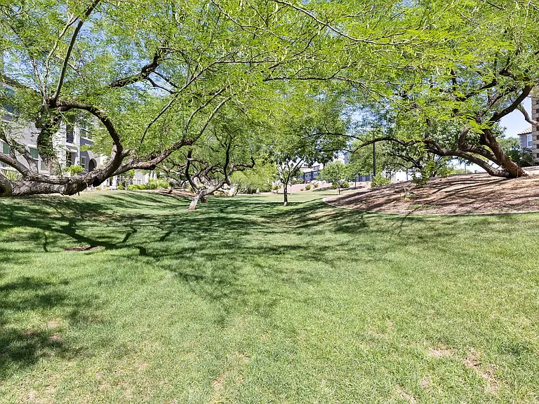 2256 E Huntington Dr — Photo 23
