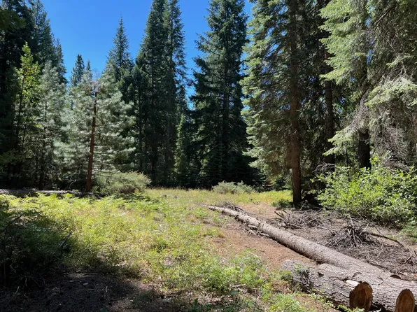 220 Wildwood Ranch Rd, Wildwood, CA 96076