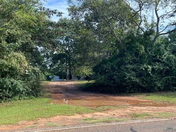 24033 Fm 838 W, Overton, TX 75684