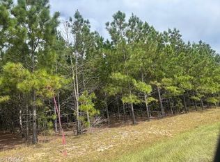 New Tract Belford Church Rd #13, Jackson Springs, NC 27281