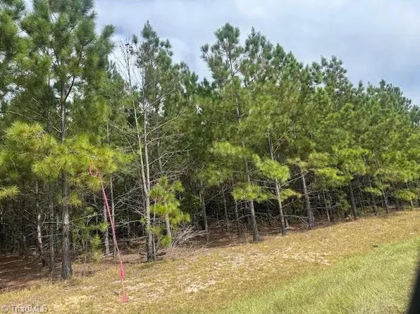 New Tract Belford Church Rd #13, Jackson Springs, NC 27281
