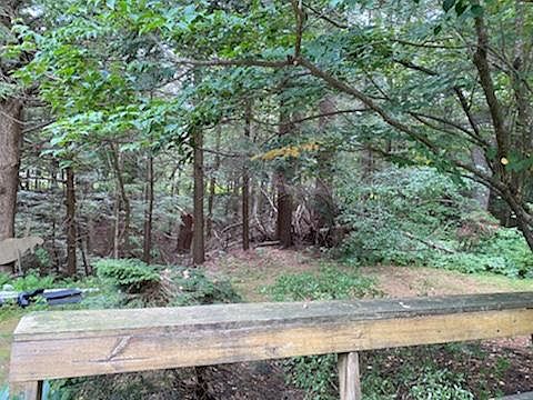 Private backyard looking towards ravine