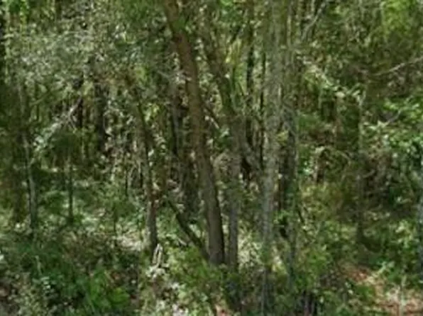 20550 MARINE BOULEVARD LOT 10, DUNNELLON, FL 34431