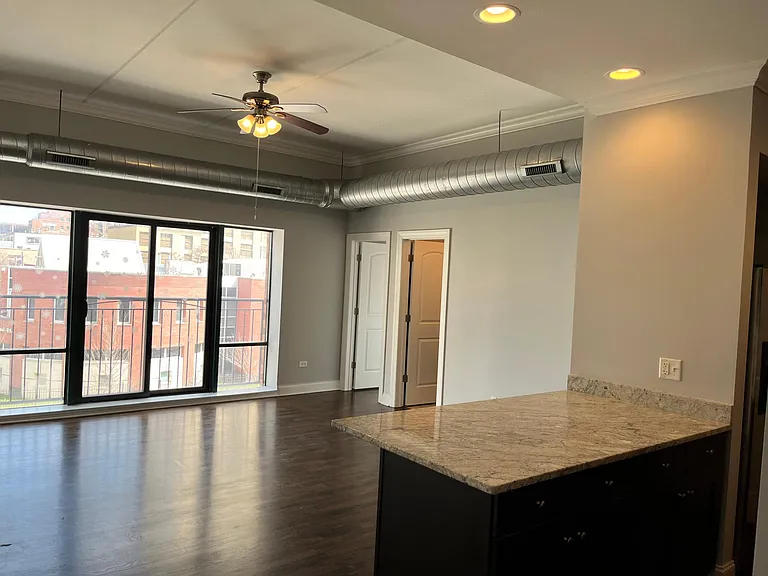 1440 S Wabash Ave #304 — Photo 6