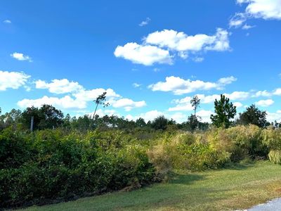103 Wide Water Cir, Wewahitchka, FL, 32465