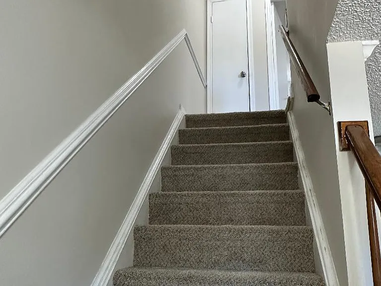 4711 Whitetail Ct — Photo 9