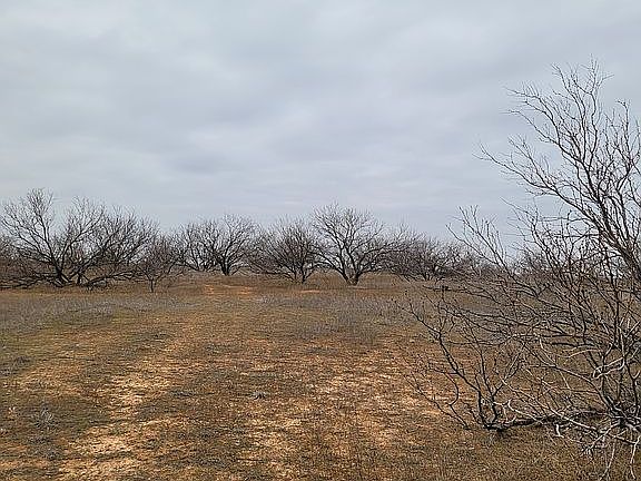4th image of 1405 S Fm 369