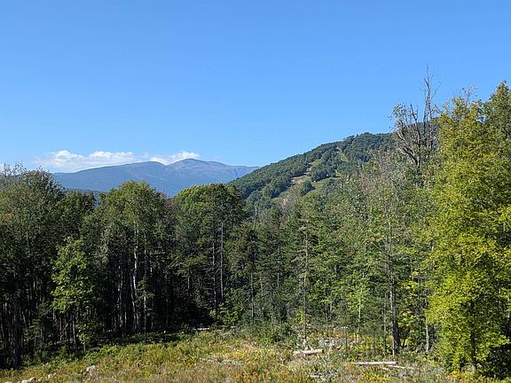 4th image of 32 Mountain View Road
