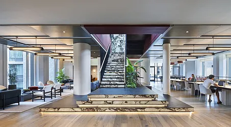 Rented by Gotham Organization