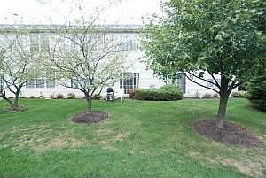 3rd image of 819 Amelia Ct