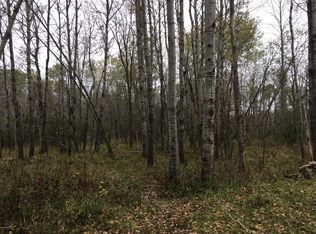 5155 N Thornapple Ave, White Cloud, MI 49349
