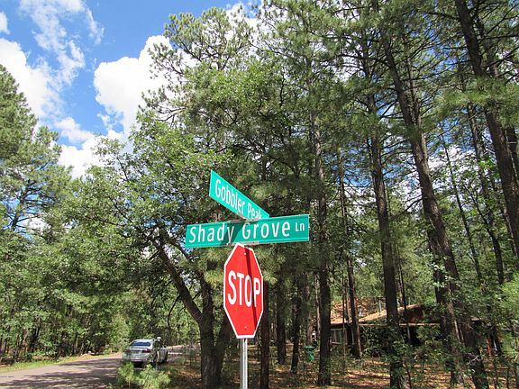 5th image of 1655 E Gobbler Peak Ln