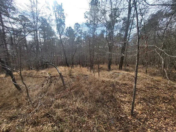 LOT 587 Begonia Dr, Sparta, GA 31087