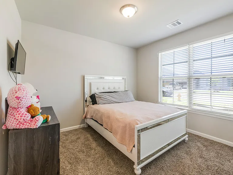 217 New Trails Ln — Photo 8